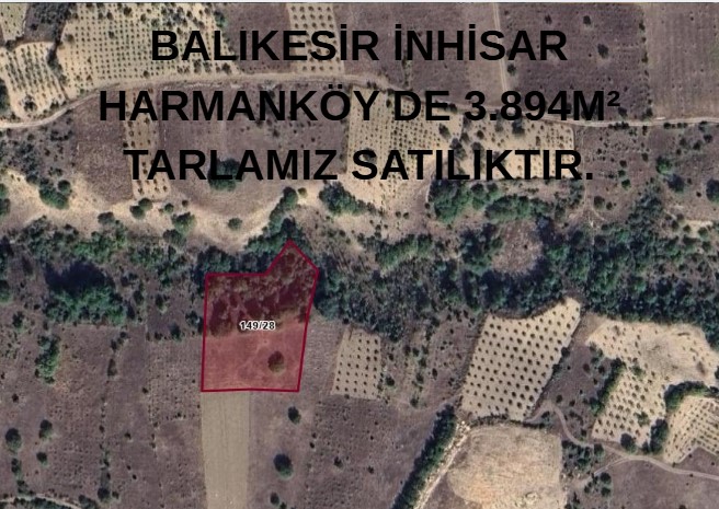 BALIKESİR İNHİSAR HARMANKÖY DE 3.894M² TARLAMIZ SATILIKTIR. - BİLECİK İNHİSAR fotoğraf 7